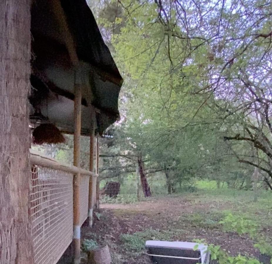 Ecolodge Beauregard トレニー エクステリア 写真