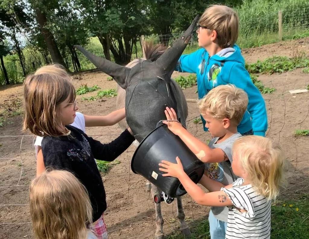Ecolodge Beauregard トレニー エクステリア 写真