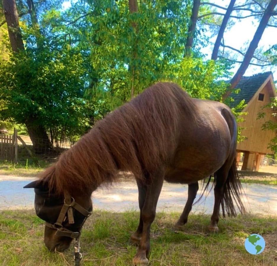 Ecolodge Beauregard トレニー エクステリア 写真
