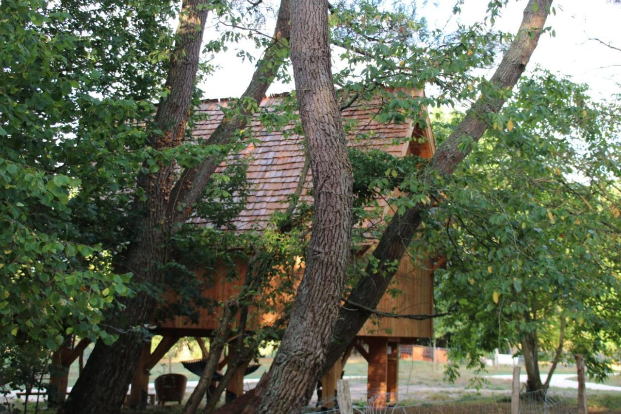 Ecolodge Beauregard トレニー エクステリア 写真