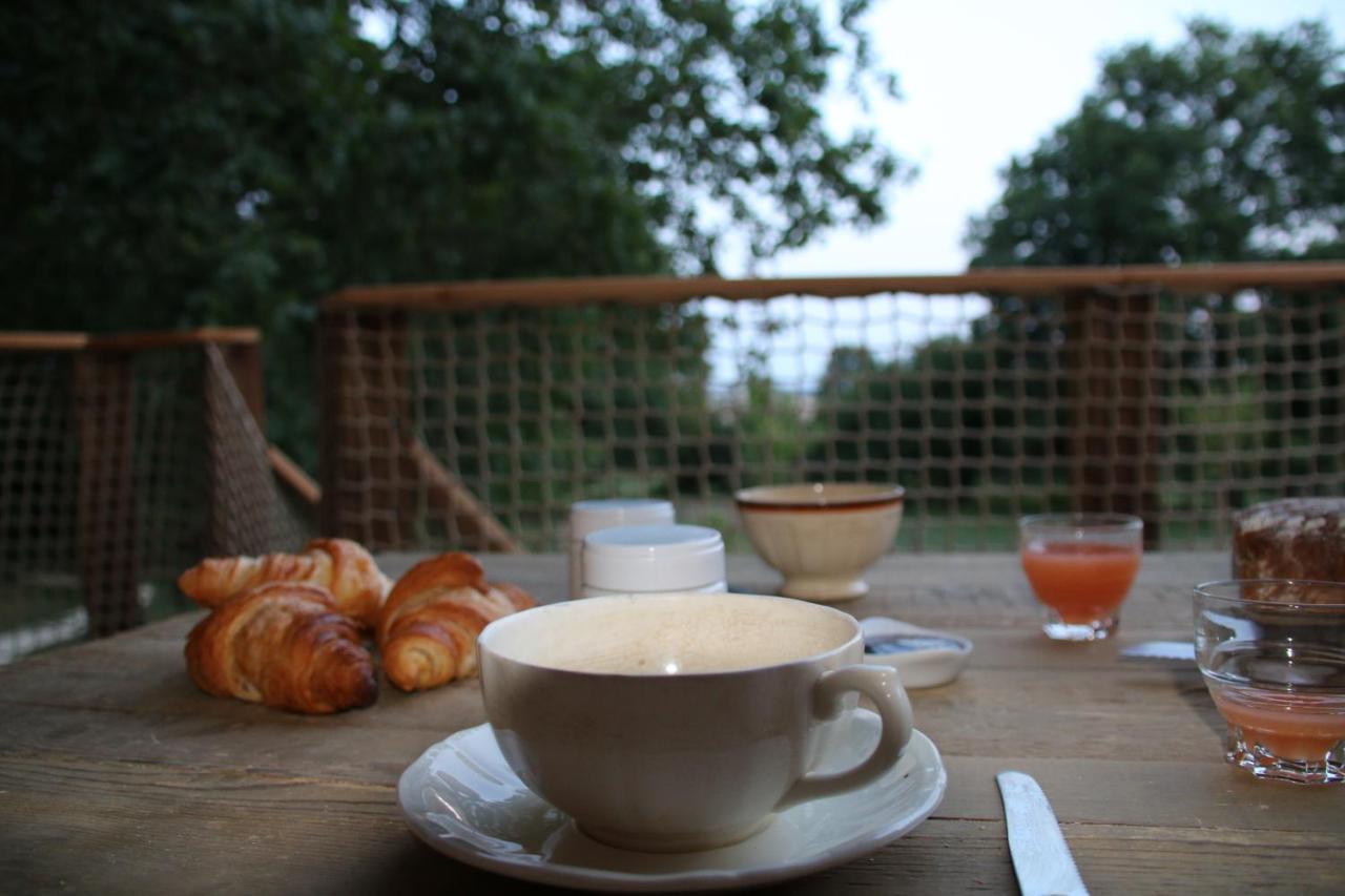Ecolodge Beauregard トレニー エクステリア 写真