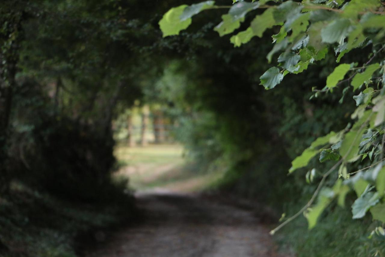 Ecolodge Beauregard トレニー エクステリア 写真
