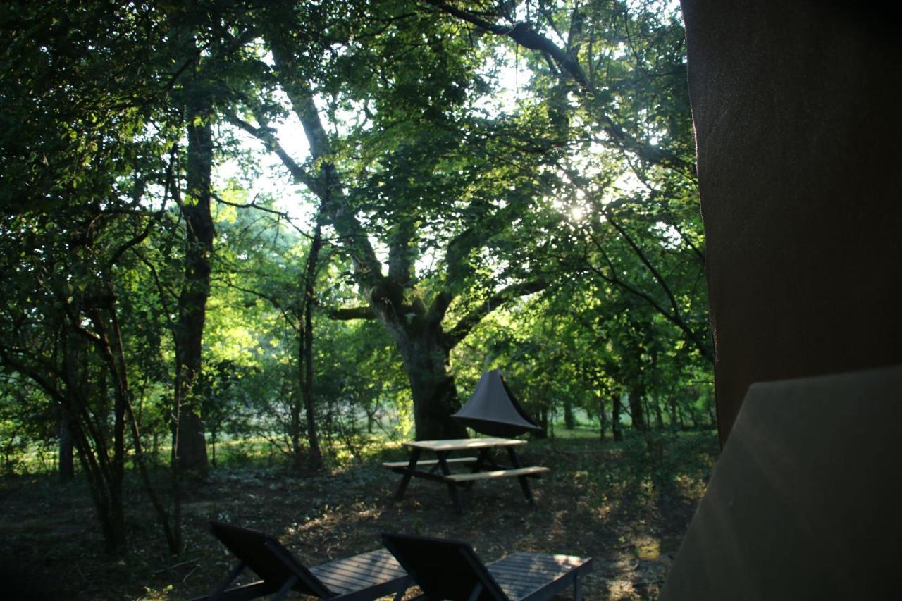 Ecolodge Beauregard トレニー エクステリア 写真