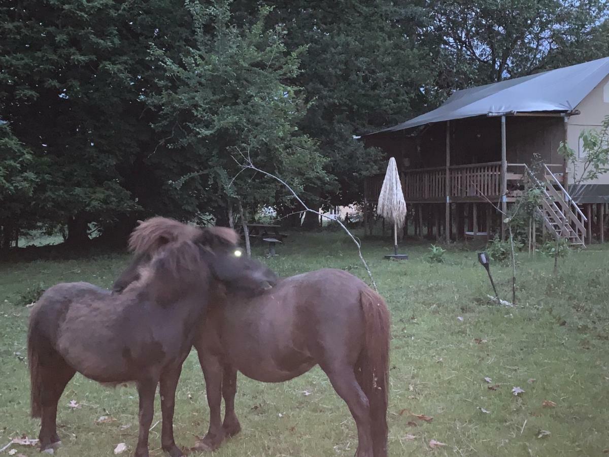 Ecolodge Beauregard トレニー エクステリア 写真